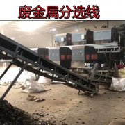 廢金屬分選線日產(chǎn)量在50噸左右