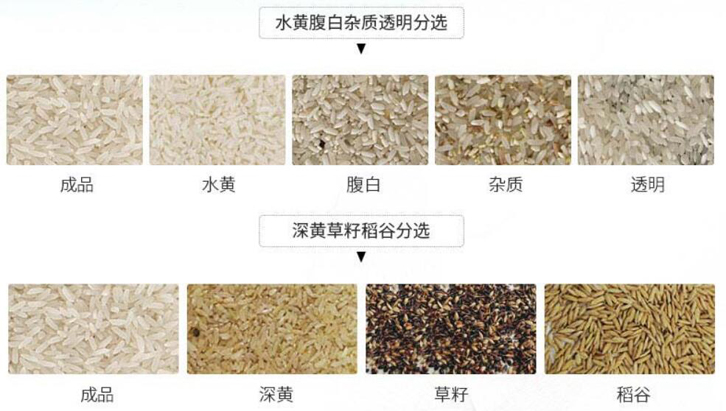 大米色選機(jī)
