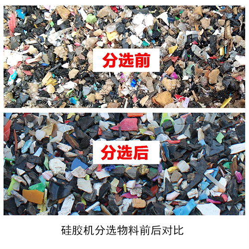 分選前后對(duì)比圖